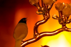 Week-09-Flaming-Murano
