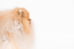 Week-11-Ethereal-Creature