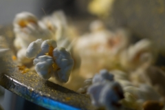 Week-18-Before-the-Film